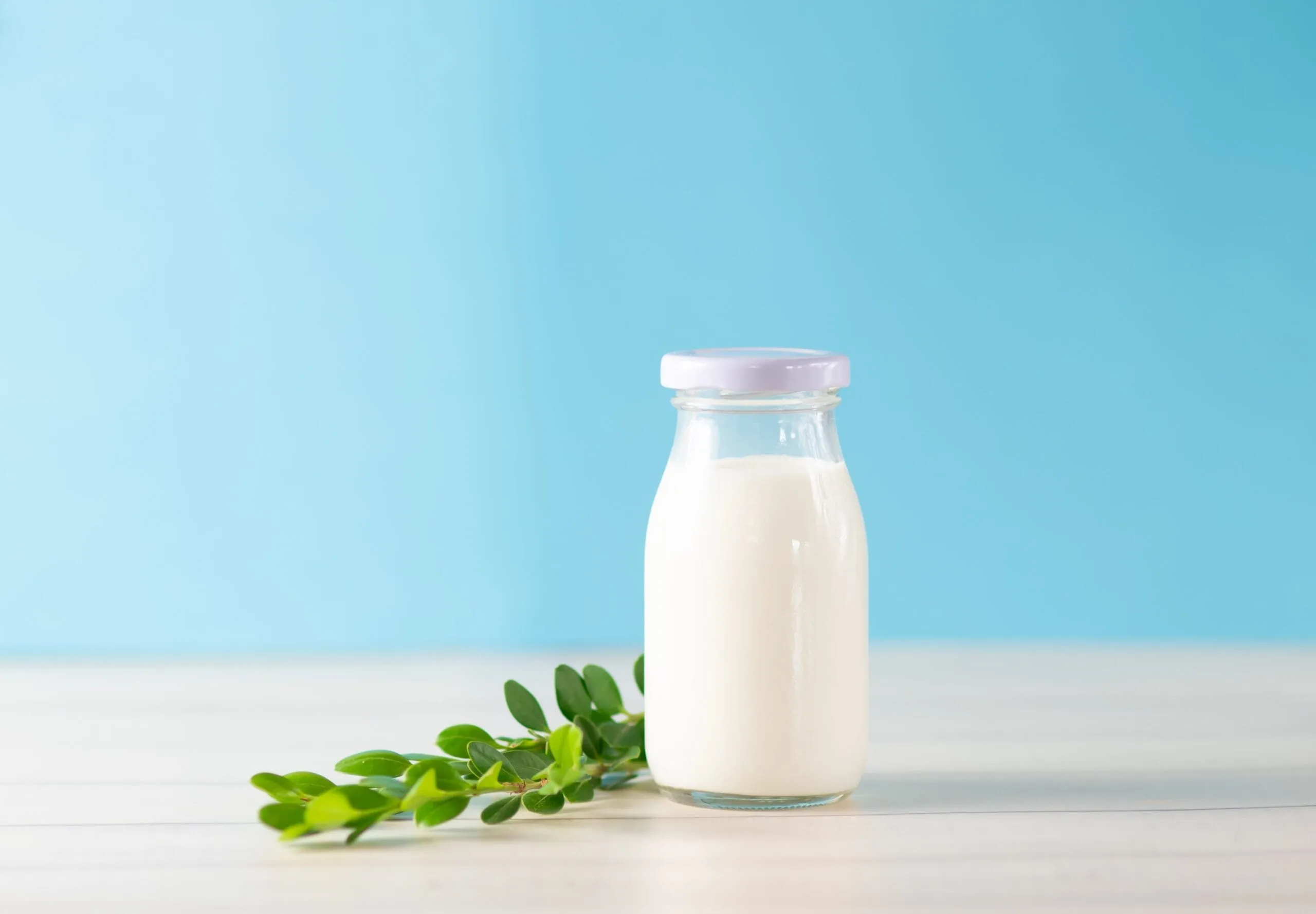 milk 7382115